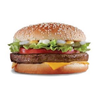 Paragon US style Halal Beef Burger-48x113g01